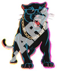 Image 4 of BIG BLACK CAT