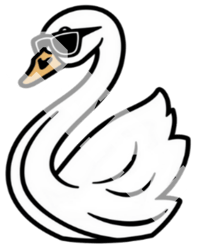 Image 5 of FANCY DUCK
