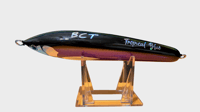 Image 2 of 50g Black Top, Purple Body Floating Stick Bait
