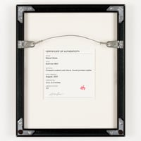 Image 2 of Ex. 0821 (Framed)