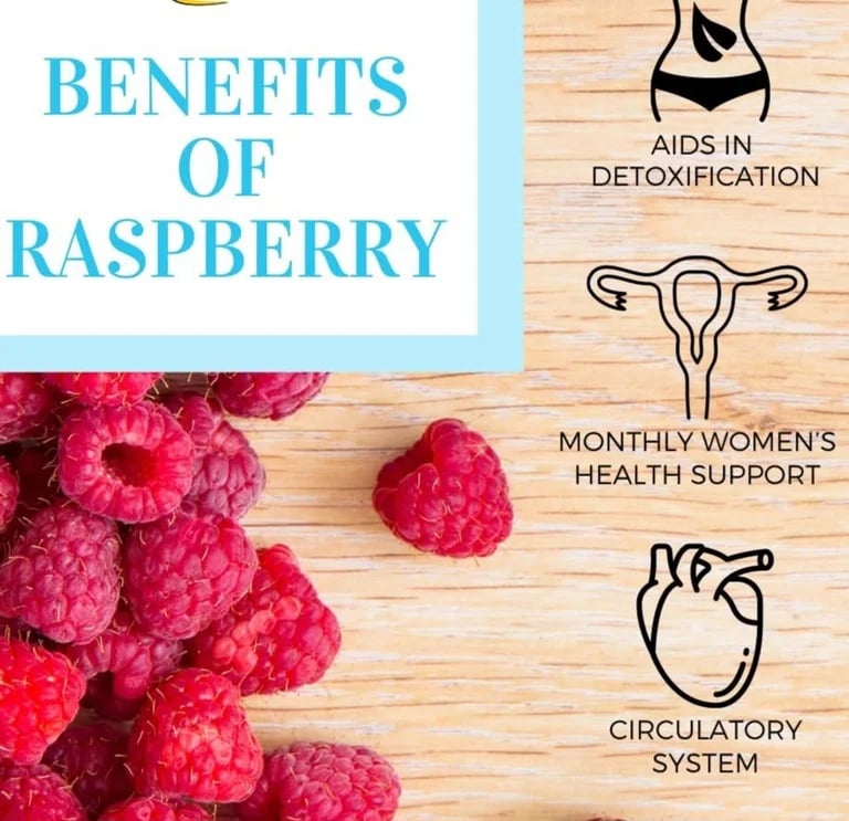 RELAXIN' RASPBERRY TEABAGS/ FRUIT POWDER-Cramps-Labor-PMS-Lactation-Postpartum-Diarrhea-Cognition