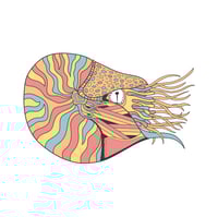 Image 3 of "Nautilus" Art Print