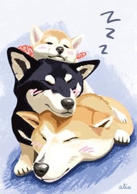 Image 1 of Sleeping Shibas