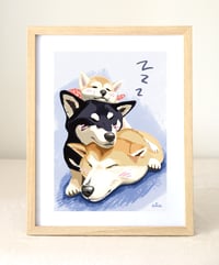 Image 2 of Sleeping Shibas