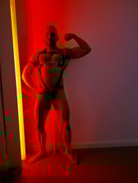 Image 2 of MASTER HARNESS 