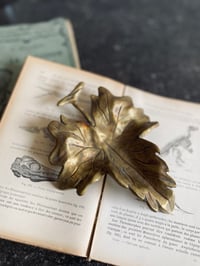 Image 1 of Vide poche en bronze en forme de feuille de vigne