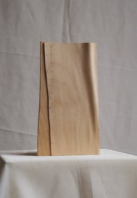 Image 4 of FLE 01