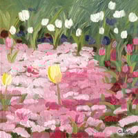 Image 1 of Sunshine