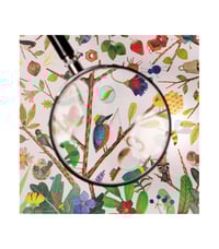 Image 4 of Magnifying glass Le jardin du Moulin