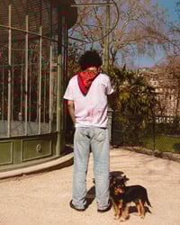 Image 2 of T-shirt "DtMF" (pré commande en M)