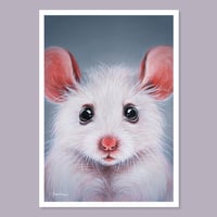 Image 2 of STOP ANIMAL TESTING | MOUSE | POSTCARD