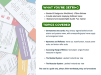 Image 2 of Anatomy Healthcare Reference Cards