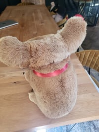 Image 4 of VERY Large  45cm Vintage Koala - Real Fur - Australia