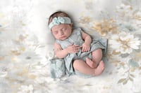 Image 1 of Newborn Jacquard Dresses 