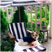 Image 2 of Bardot Chaise Lounge With Umbrella - Navy