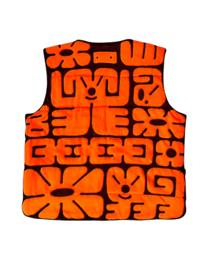 Image of Reversible Vest