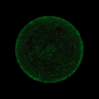 Image 2 of Axiom Tempo Proton Particle Glow Jeremy Koling
