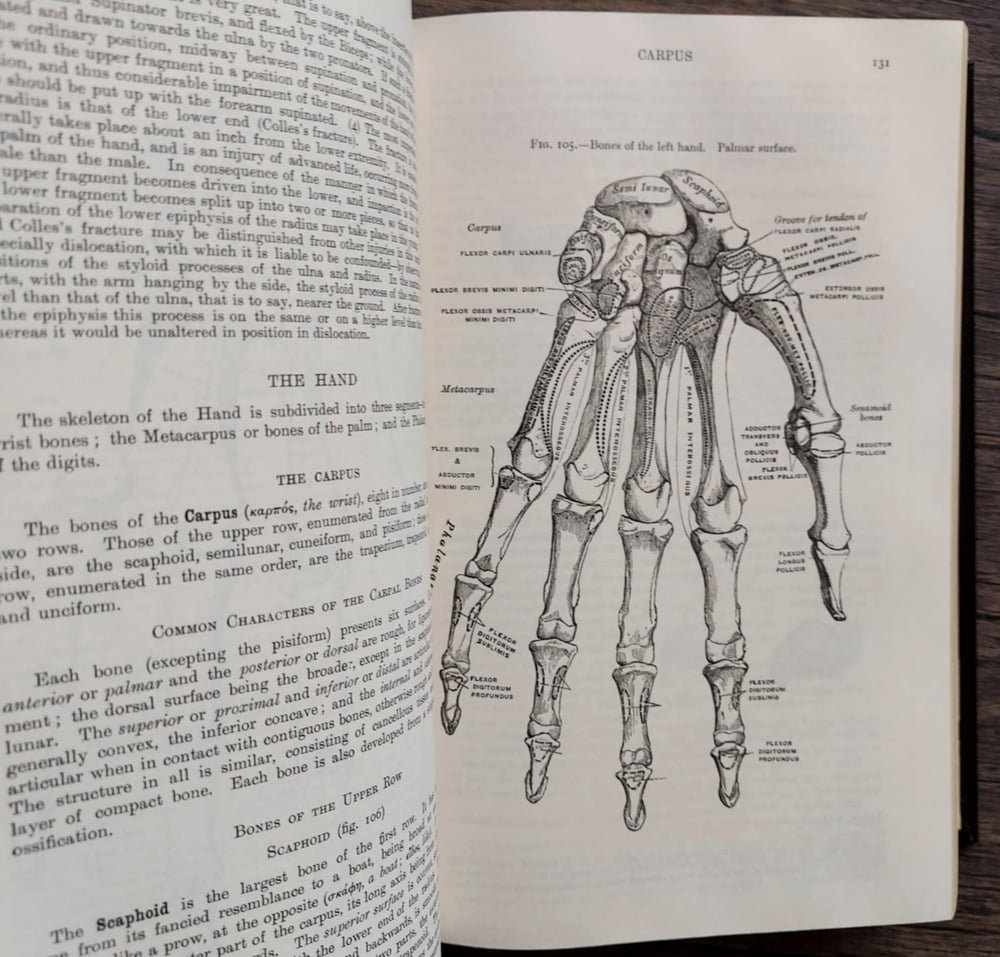 Gray's Anatomy, by Dr. Henry Gray F.R.S.