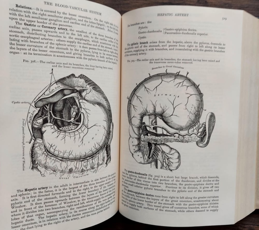 Gray's Anatomy, by Dr. Henry Gray F.R.S.