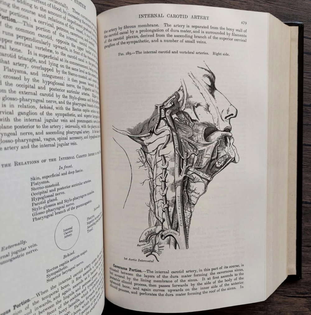 Gray's Anatomy, by Dr. Henry Gray F.R.S.