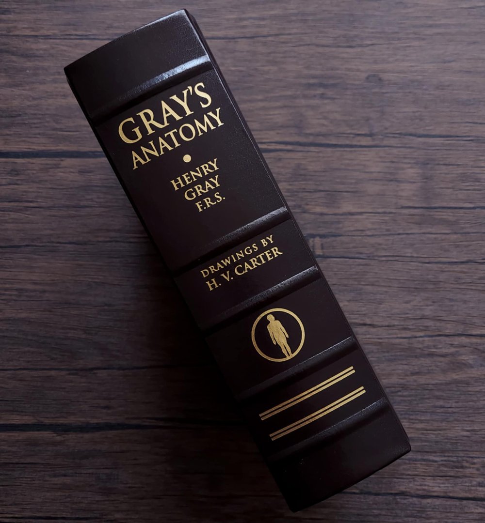 Gray's Anatomy, by Dr. Henry Gray F.R.S.