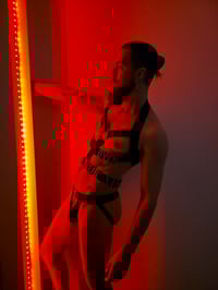 Image 3 of OWN HARNESS 