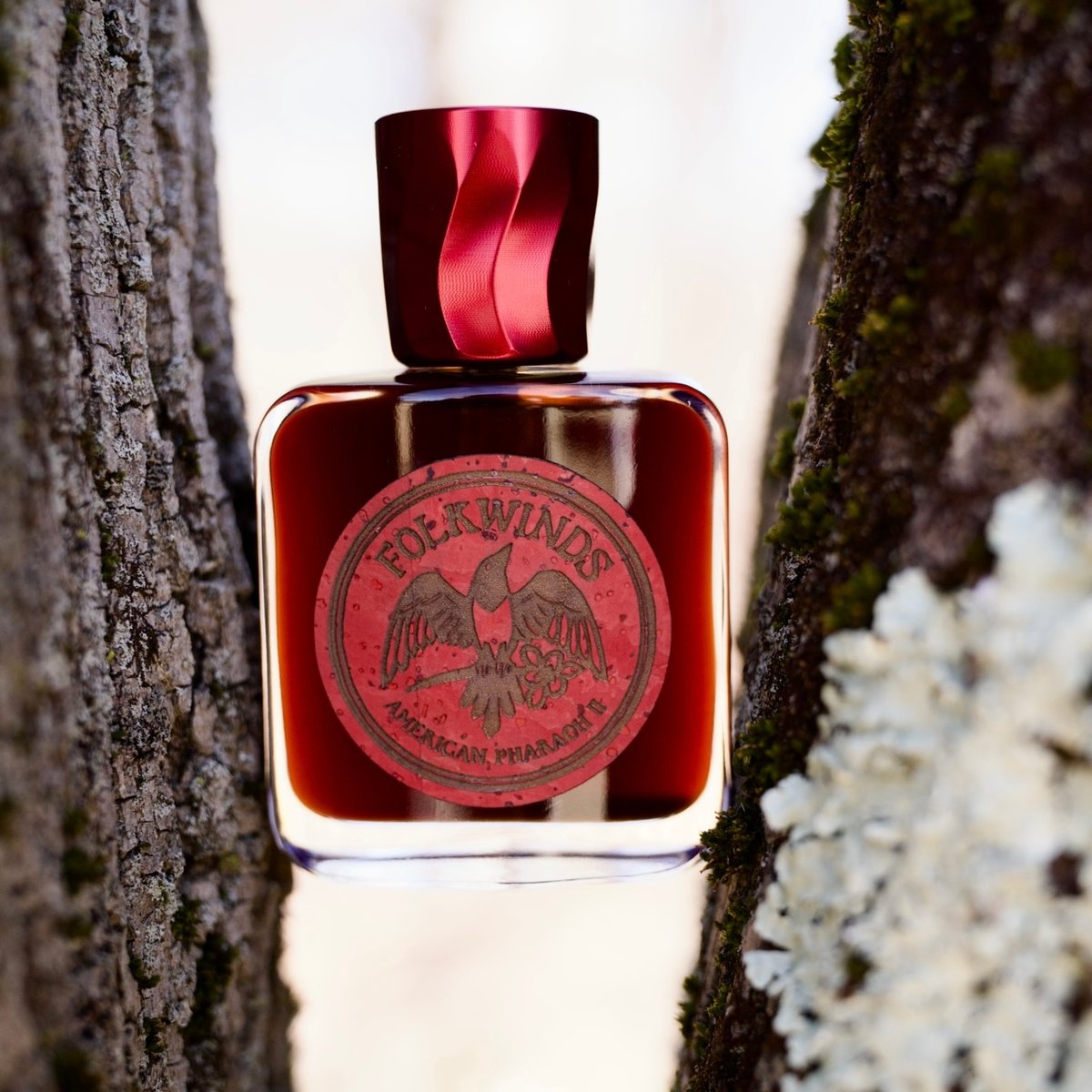 Image of Roses are red, Cherries are… red. 