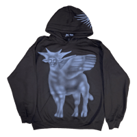 Image 1 of Hoodie "Pegasus"