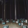 Nocturnal Animals IV (print)