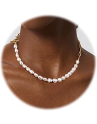 Image 2 of COCO | Pearls 