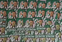 Image 1 of Pack of 25 7x7cm Hibs, Hibernian Beer Football/Ultras Stickers.