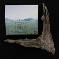 Image 2 of Ruins of Xibalba - Shaman / CD-Digipak