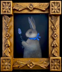 Image 1 of Wild Thyme