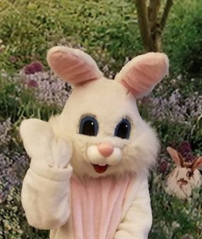 Image of 4/13--Spring Family Photos and/or Easter Bunny Photos