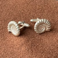 Ammonite Cuff Links
