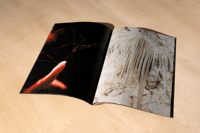 Image 2 of DEEP: Zine + T-shirt (Pack)