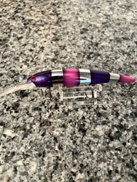 Purple-Pink Coral