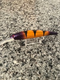 Copper Tiger