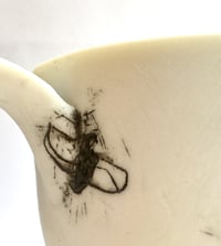 Image 3 of caught
