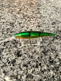 Classic Tiger 9