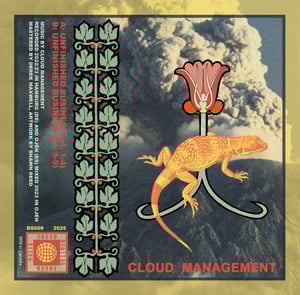 Image of  Cloud Management- Unfinished Business CS