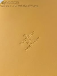 Image 5 of LV Straffia Tote