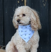 Image 2 of Dog Bandana - Bouncing Bunnies