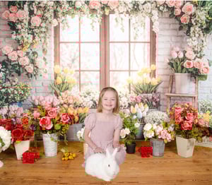 Image of Summer Studio 2