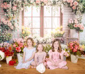 Image of Summer Studio 2