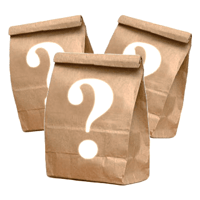 Mystery bag game