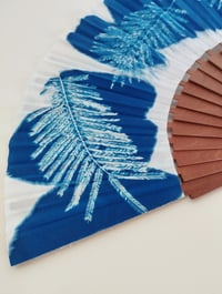 Image 3 of Éventail Albizia
