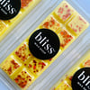 CITRONELLA & PATCHOULI Wax Melt Snap Bar Home Fragrance 