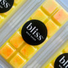 CITRUS BREEZE Wax Melt Snap Bar Home Fragrance Scented Wax