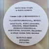 LENNY PINK TULIPS & WHITE JASMINE Wax Melt Snap Bar Home Fragrance Laundry Scent